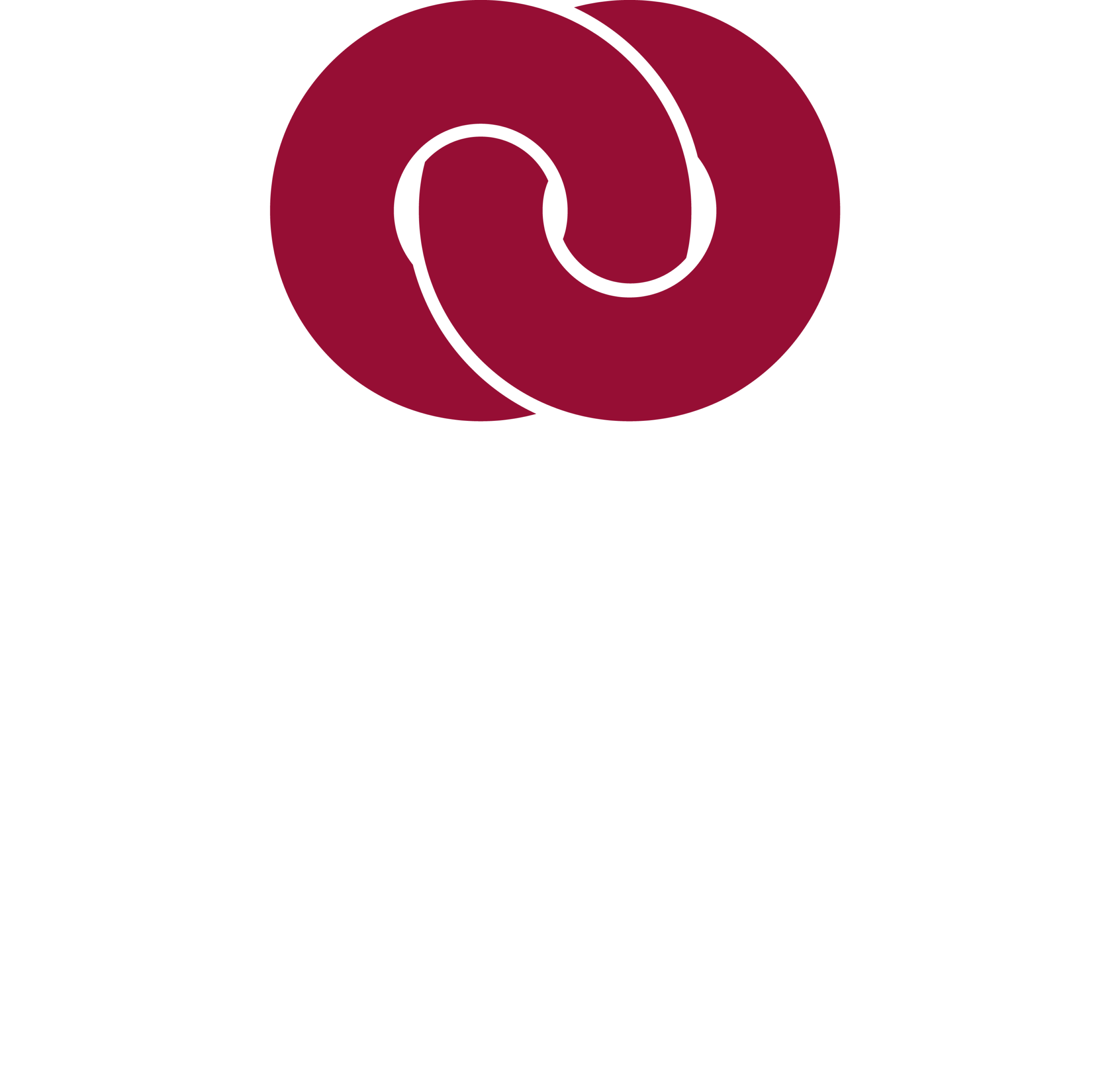 GROUP DOMUS